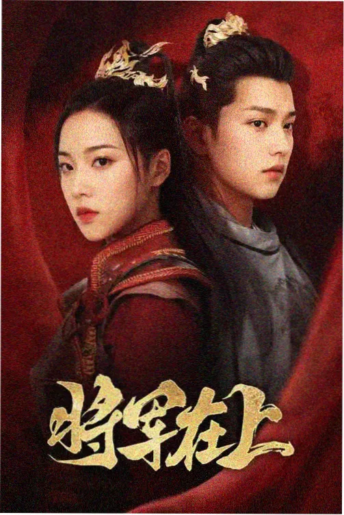 动漫片片标本柜抽屉中的深夜档封面色块